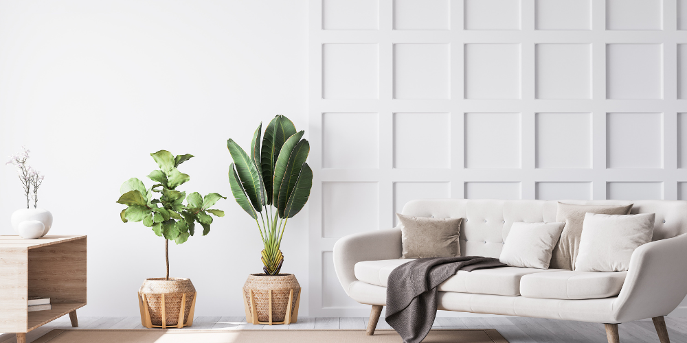 Home Staging